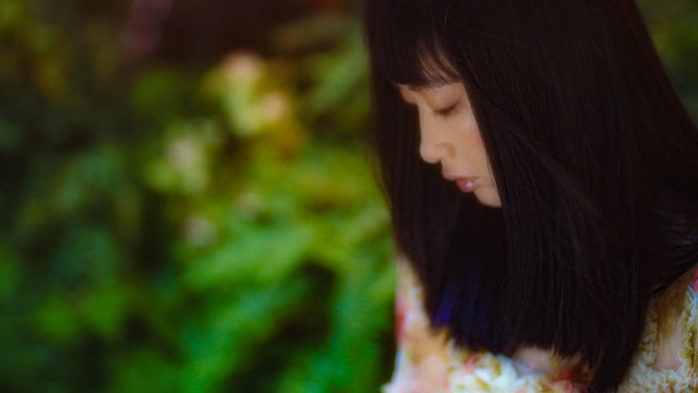 From Dry Air to Design Flair – Seasonal Reasons to Use Each SEASONS Diffuser