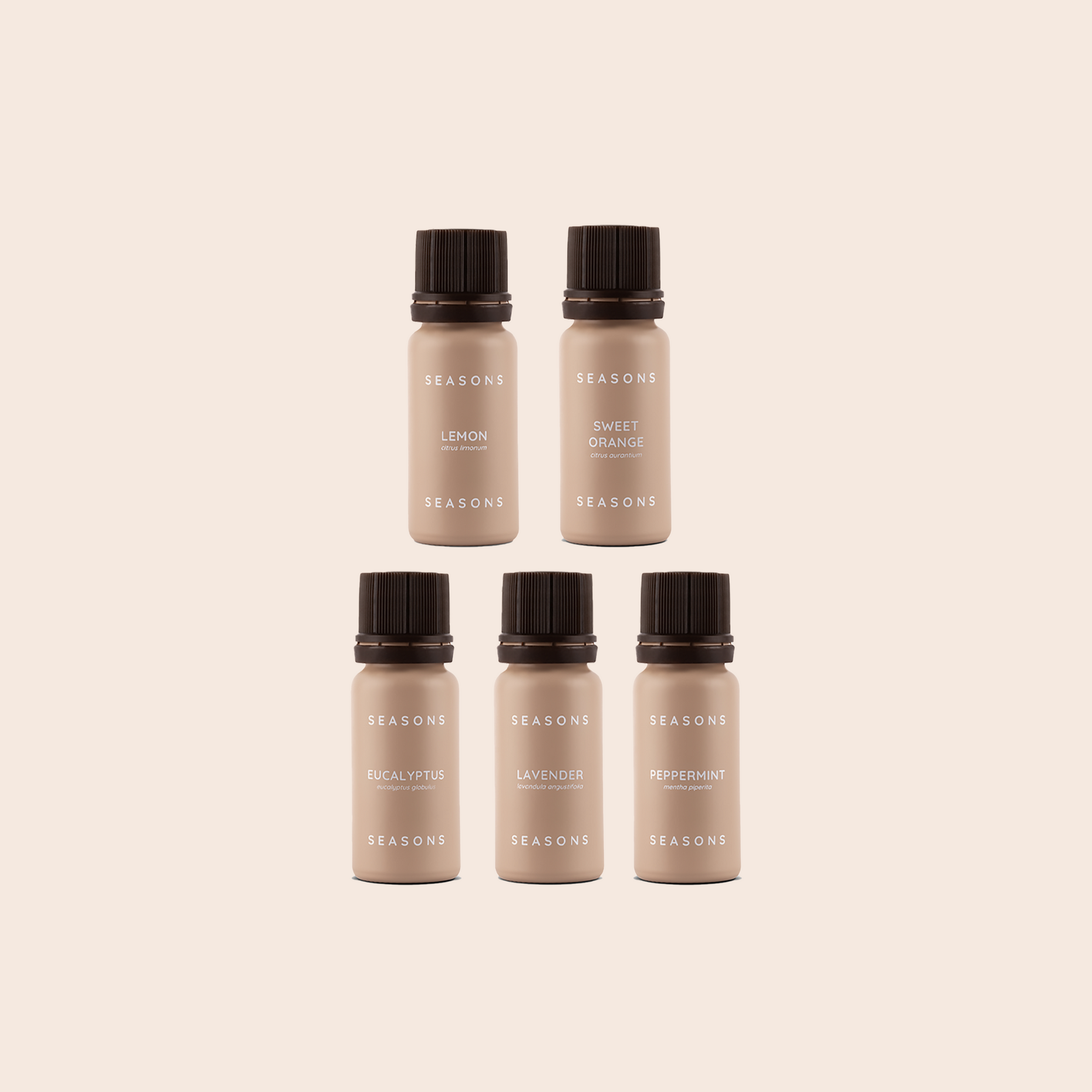 Essentials Set – SEASONS