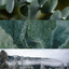 Glacial Mint