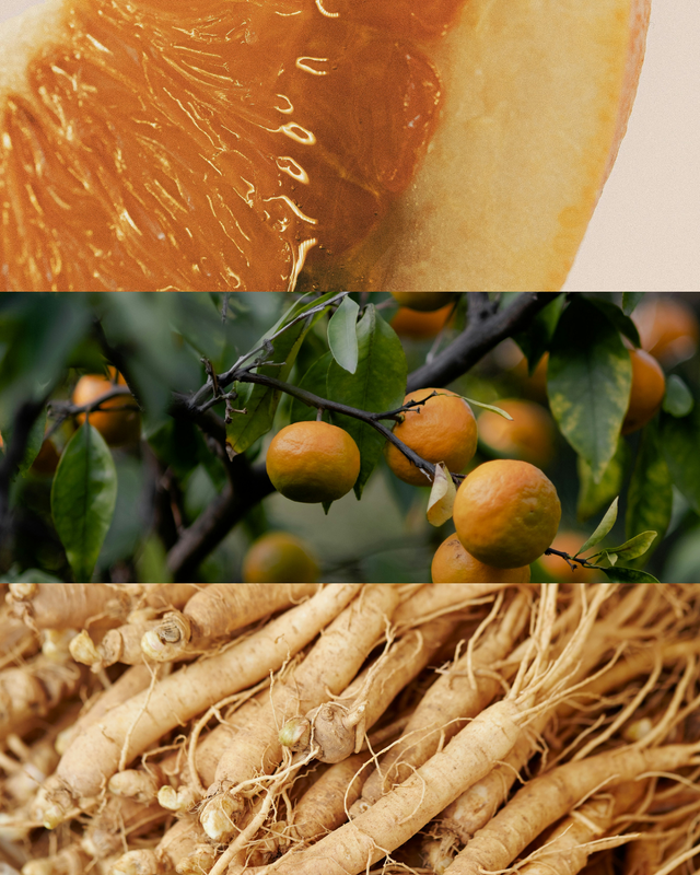 Wild Yuzu